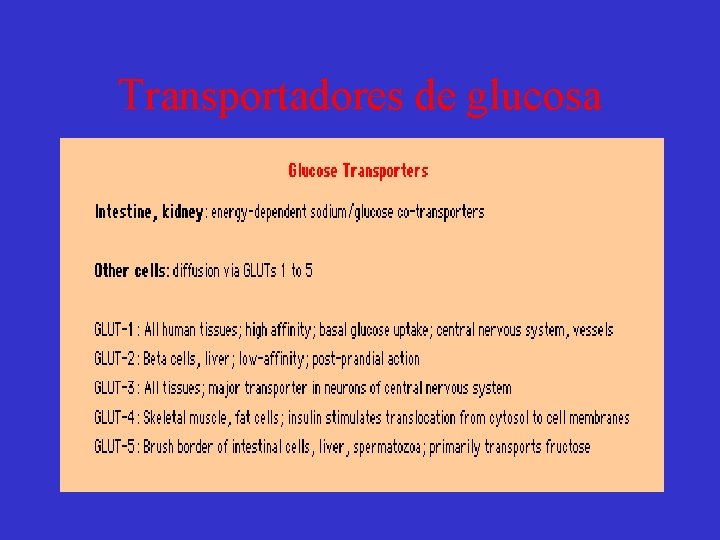 Transportadores de glucosa 