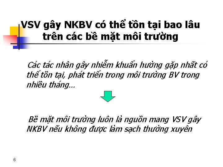 VSV gây NKBV có thể tồn tại bao lâu trên các bề mặt môi