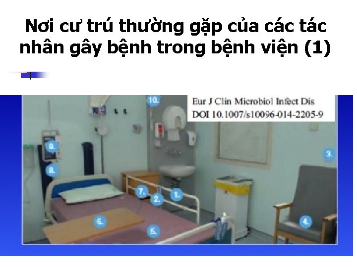 Nơi cư trú thường gặp của các tác nhân gây bệnh trong bệnh viện