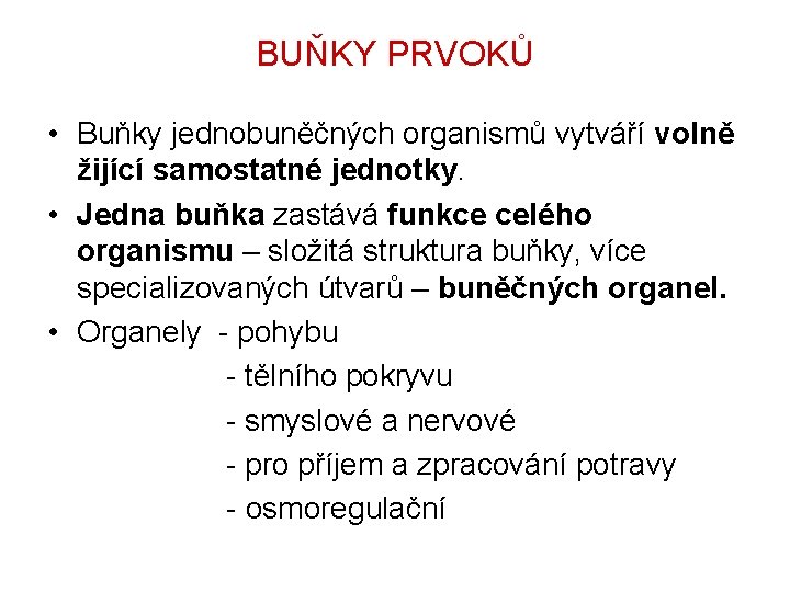 BUŇKY PRVOKŮ • Buňky jednobuněčných organismů vytváří volně žijící samostatné jednotky. • Jedna buňka