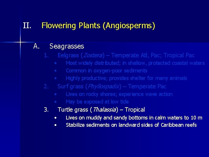 II. Flowering Plants (Angiosperms) A. Seagrasses Eelgrass (Zostera) – Temperate Atl, Pac; Tropical Pac