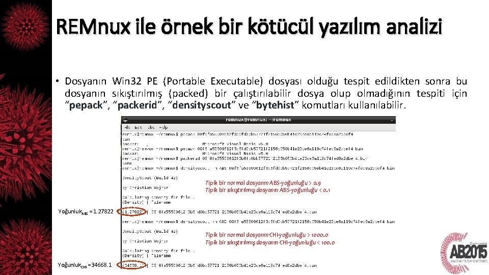 REMnux ile örnek bir kötücül yazılım analizi • Dosyanın Win 32 PE (Portable Executable)