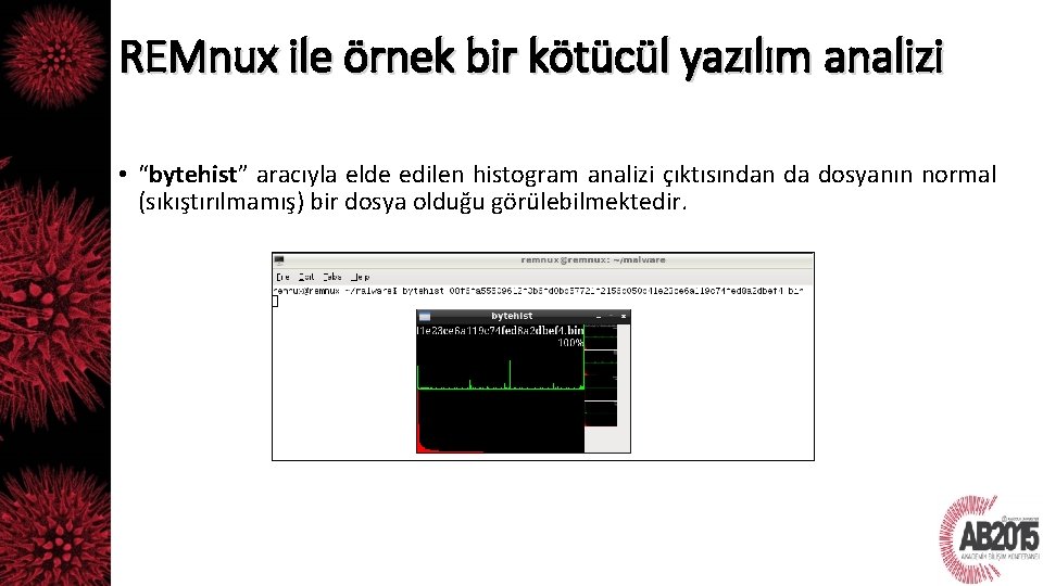 REMnux ile örnek bir kötücül yazılım analizi • “bytehist” aracıyla elde edilen histogram analizi REMnux ile örnek bir kötücül yazılım analizi • “bytehist” aracıyla elde edilen histogram analizi