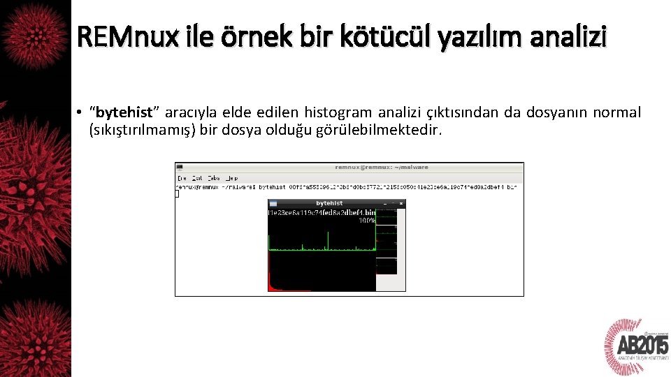 REMnux ile örnek bir kötücül yazılım analizi • “bytehist” aracıyla elde edilen histogram analizi