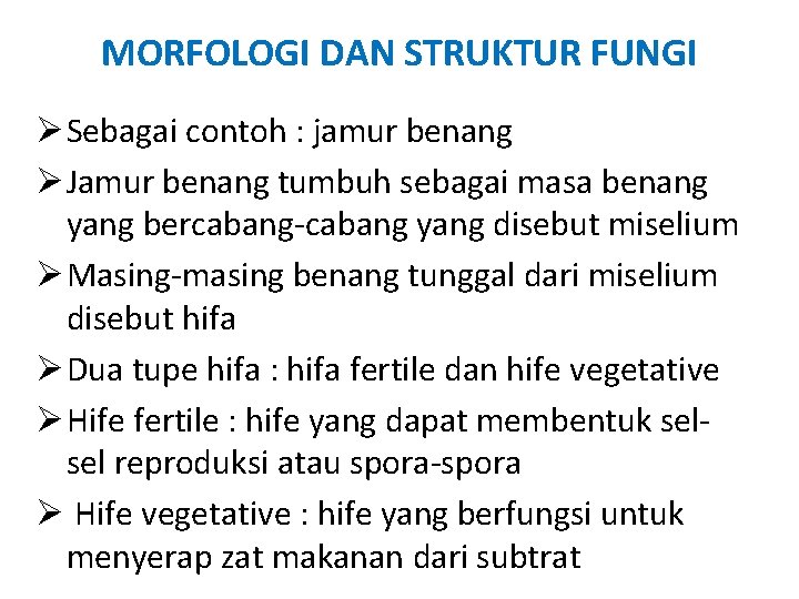 MORFOLOGI DAN STRUKTUR FUNGI Ø Sebagai contoh : jamur benang Ø Jamur benang tumbuh