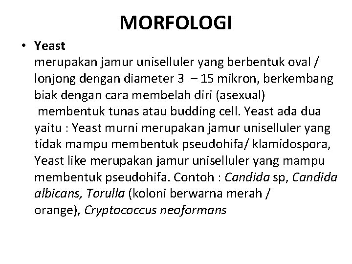 MORFOLOGI • Yeast merupakan jamur uniselluler yang berbentuk oval / lonjong dengan diameter 3