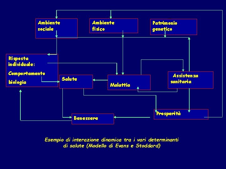  Ambiente sociale Ambiente fisico Patrimonio genetico Risposta individuale: Comportamento biologia Salute Benessere Malattia