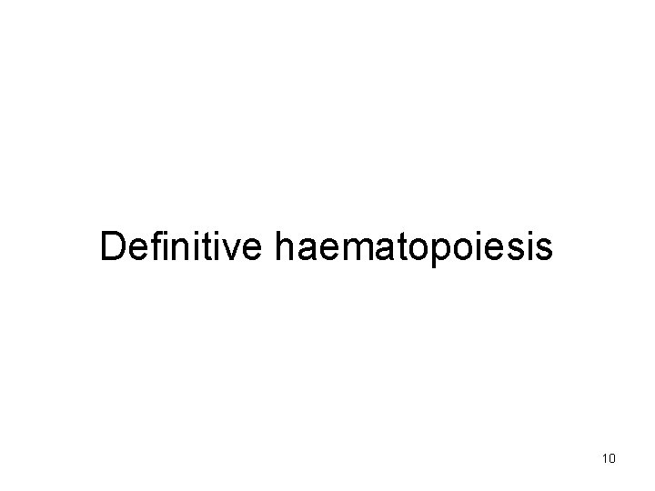 Definitive haematopoiesis 10 