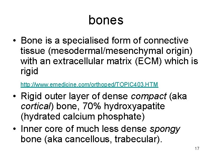 bones • Bone is a specialised form of connective tissue (mesodermal/mesenchymal origin) with an
