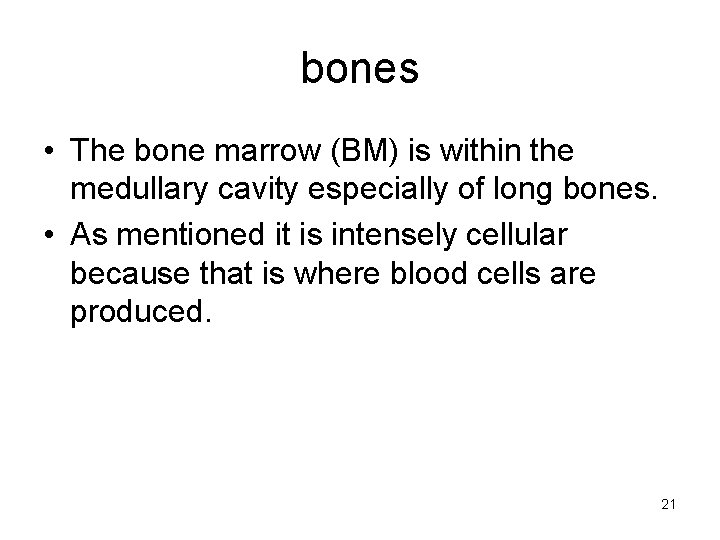 bones • The bone marrow (BM) is within the medullary cavity especially of long