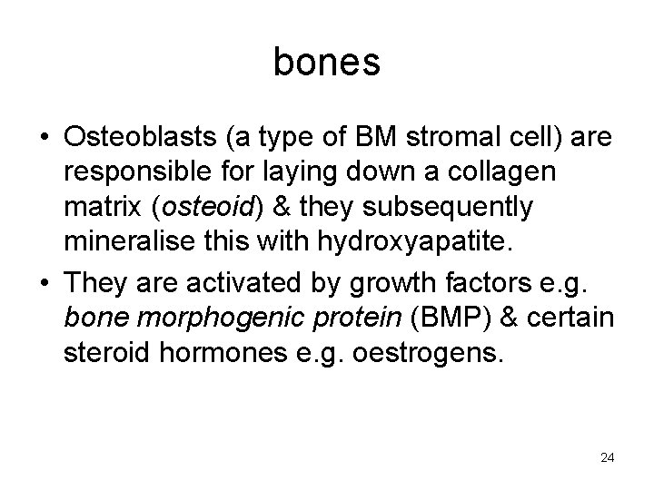 bones • Osteoblasts (a type of BM stromal cell) are responsible for laying down