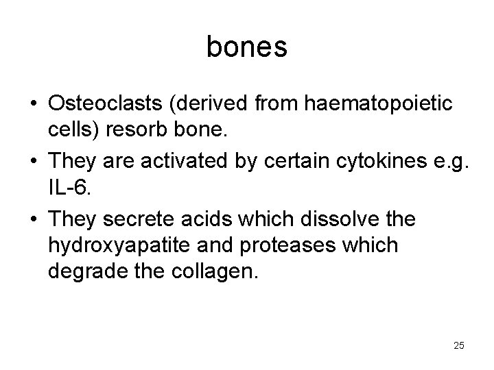 bones • Osteoclasts (derived from haematopoietic cells) resorb bone. • They are activated by