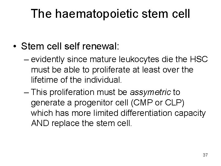 The haematopoietic stem cell • Stem cell self renewal: – evidently since mature leukocytes
