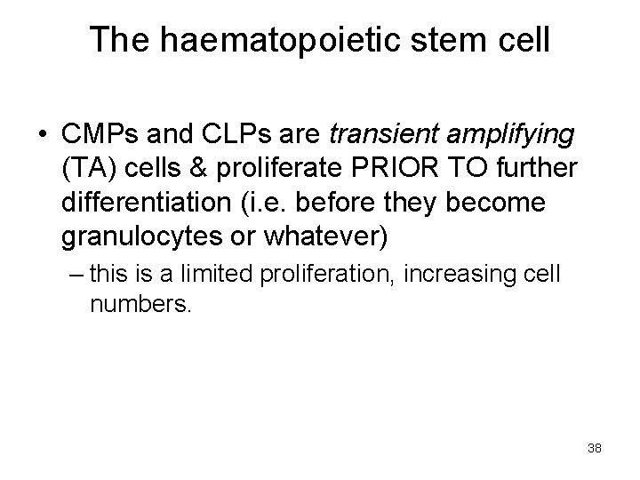 The haematopoietic stem cell • CMPs and CLPs are transient amplifying (TA) cells &