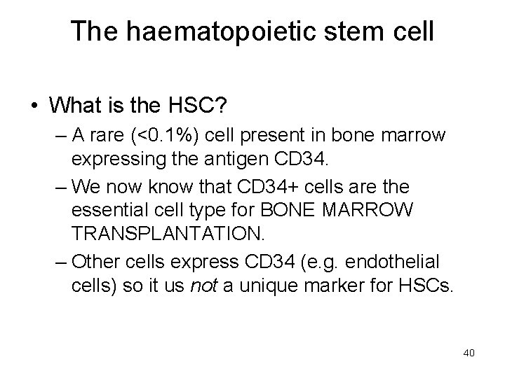 The haematopoietic stem cell • What is the HSC? – A rare (<0. 1%)
