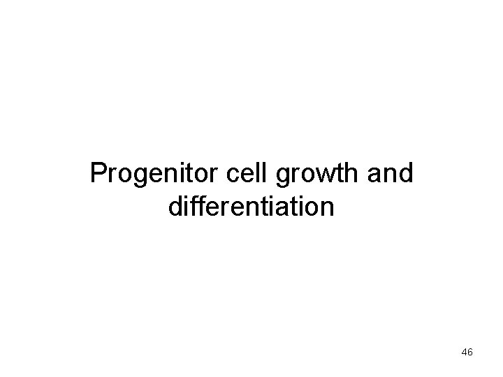 Progenitor cell growth and differentiation 46 