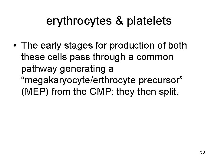 erythrocytes & platelets • The early stages for production of both these cells pass