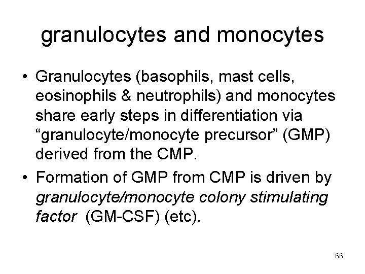 granulocytes and monocytes • Granulocytes (basophils, mast cells, eosinophils & neutrophils) and monocytes share