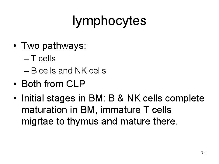 lymphocytes • Two pathways: – T cells – B cells and NK cells •