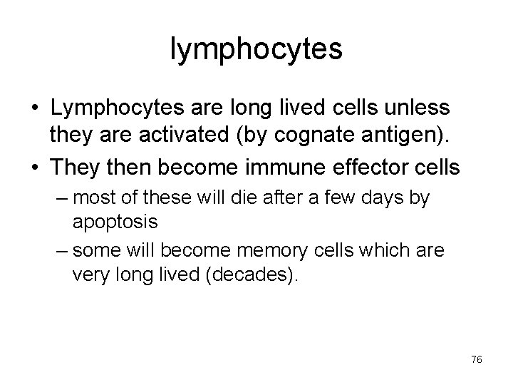 lymphocytes • Lymphocytes are long lived cells unless they are activated (by cognate antigen).