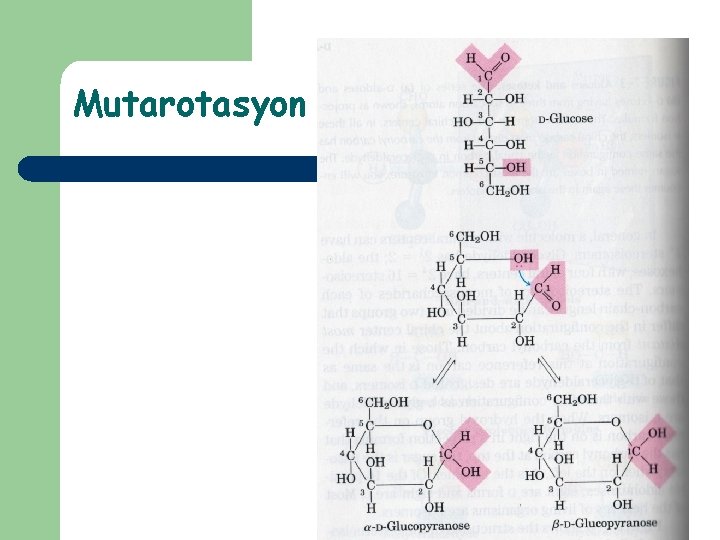 Mutarotasyon 