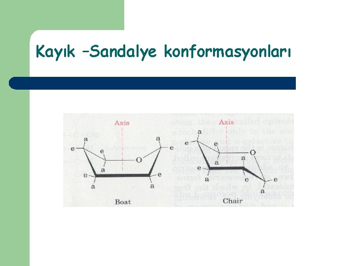 Kayık –Sandalye konformasyonları 