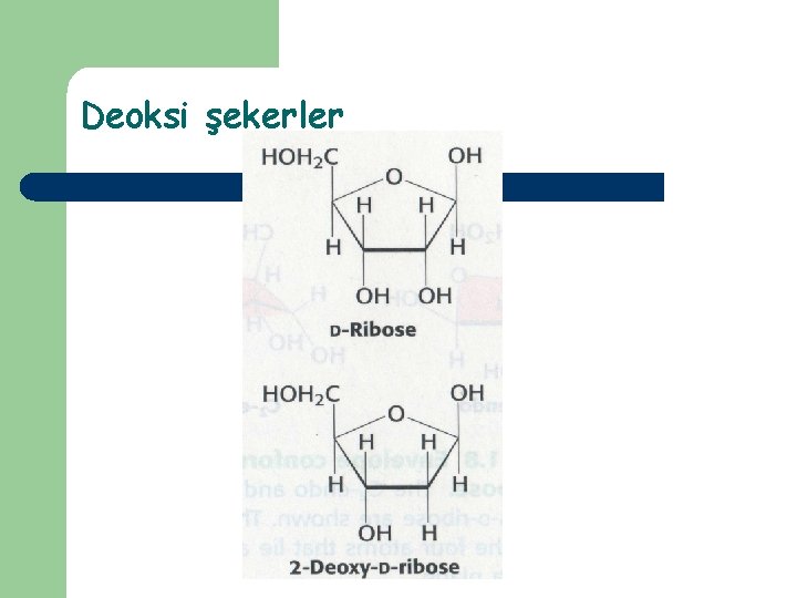 Deoksi şekerler 