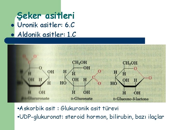 Şeker asitleri l l Uronik asitler: 6. C Aldonik asitler: 1. C • Askorbik