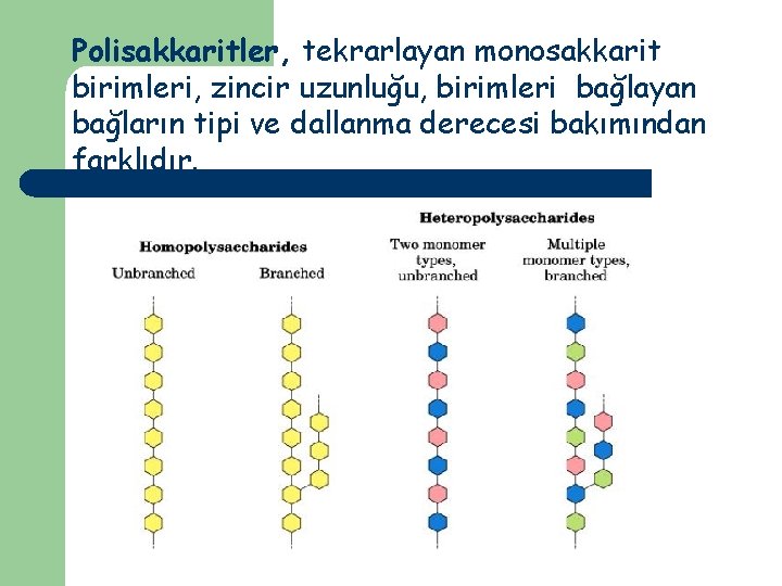 Polisakkaritler, tekrarlayan monosakkarit birimleri, zincir uzunluğu, birimleri bağlayan bağların tipi ve dallanma derecesi bakımından