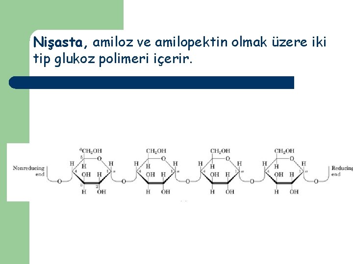 Nişasta, amiloz ve amilopektin olmak üzere iki tip glukoz polimeri içerir. 