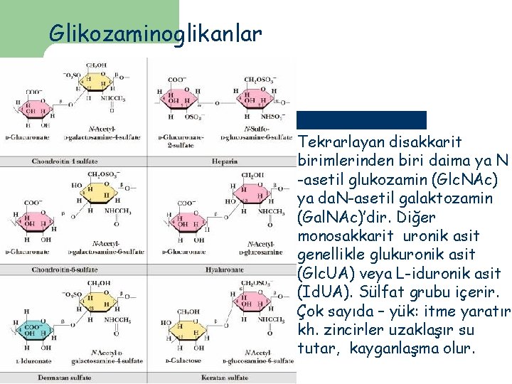 Glikozaminoglikanlar Tekrarlayan disakkarit birimlerinden biri daima ya N -asetil glukozamin (Glc. NAc) ya da.