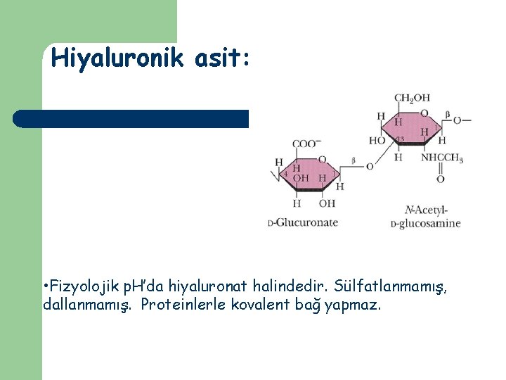 Hiyaluronik asit: • Fizyolojik p. H’da hiyaluronat halindedir. Sülfatlanmamış, dallanmamış. Proteinlerle kovalent bağ yapmaz.