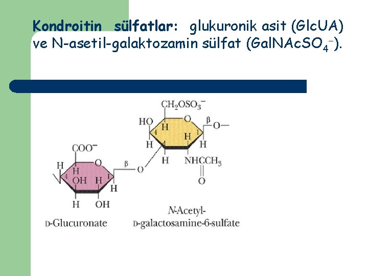 Kondroitin sülfatlar: glukuronik asit (Glc. UA) ve N-asetil-galaktozamin sülfat (Gal. NAc. SO 4 ).