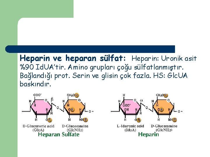 Heparin ve heparan sülfat: Heparin: Uronik asit %90 Id. UA’tir. Amino grupları çoğu sülfatlanmıştır.