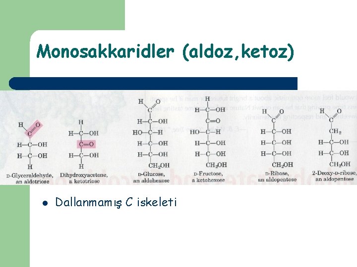 Monosakkaridler (aldoz, ketoz) l Dallanmamış C iskeleti 