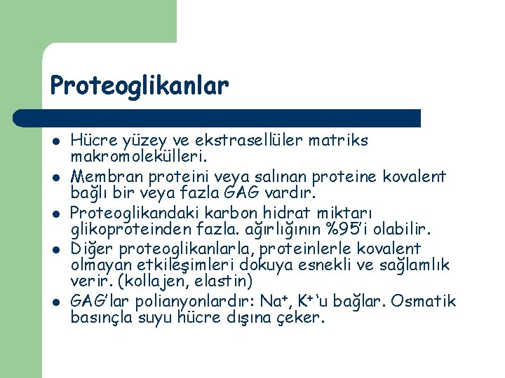 Proteoglikanlar l l l Hücre yüzey ve ekstrasellüler matriks makromolekülleri. Membran proteini veya salınan