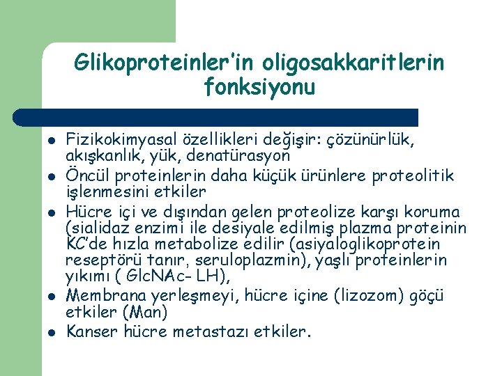 Glikoproteinler’in oligosakkaritlerin fonksiyonu l l l Fizikokimyasal özellikleri değişir: çözünürlük, akışkanlık, yük, denatürasyon Öncül