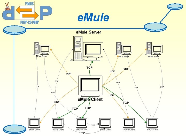 e. Mule 