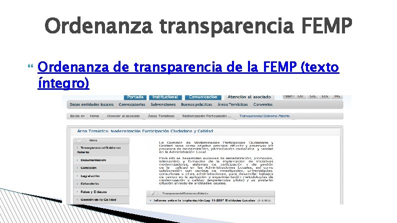 Ordenanza transparencia FEMP Ordenanza de transparencia de la FEMP (texto íntegro) 