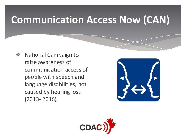 Communication Access Now (CAN) v National Campaign to raise awareness of communication access of