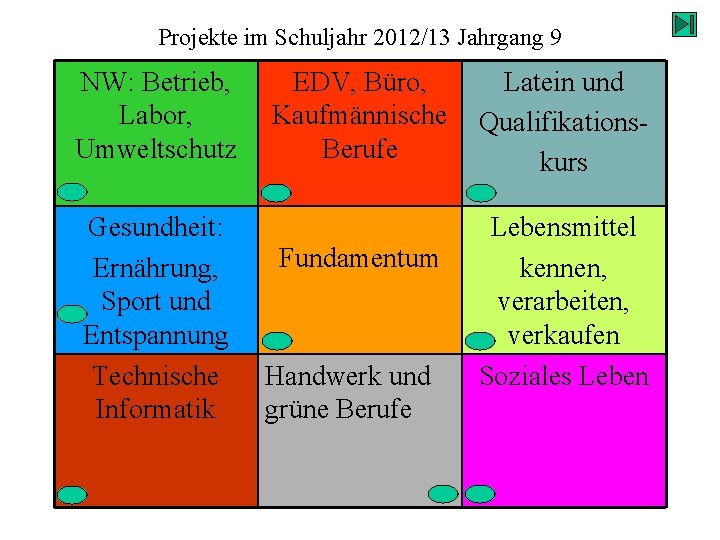 Projekte im Schuljahr 2012/13 Jahrgang 9 NW: Betrieb, Labor, Umweltschutz Gesundheit: Ernährung, Sport und