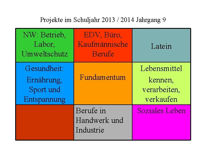 Projekte im Schuljahr 2013 / 2014 Jahrgang 9 NW: Betrieb, Labor, Umweltschutz Gesundheit: Ernährung,