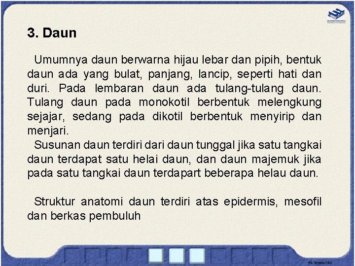 3. Daun Umumnya daun berwarna hijau lebar dan pipih, bentuk daun ada yang bulat,