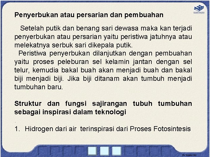 Penyerbukan atau persarian dan pembuahan Setelah putik dan benang sari dewasa maka kan terjadi