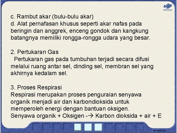 c. Rambut akar (bulu-bulu akar) d. Alat pernafasan khusus seperti akar nafas pada beringin
