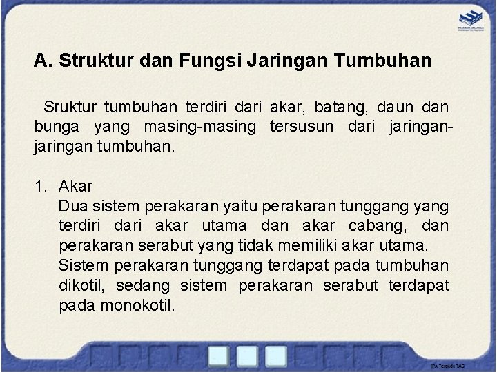 A. Struktur dan Fungsi Jaringan Tumbuhan Sruktur tumbuhan terdiri dari akar, batang, daun dan