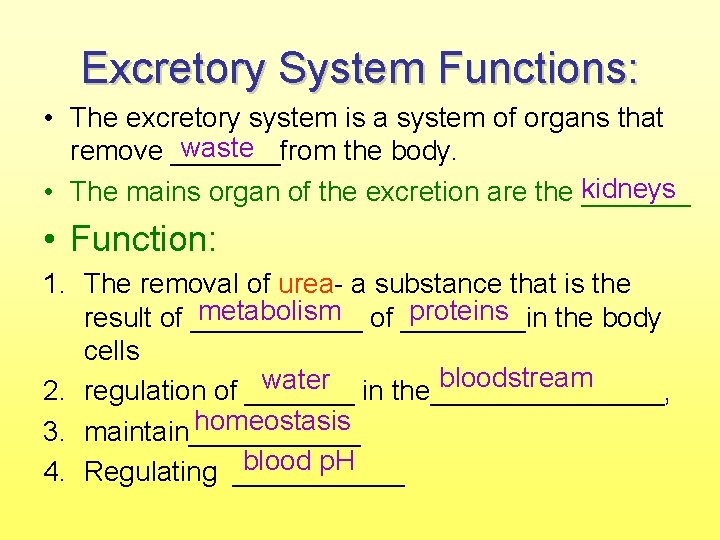 Excretory System Functions: • The excretory system is a system of organs that waste