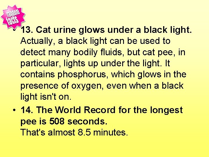  • 13. Cat urine glows under a black light. Actually, a black light