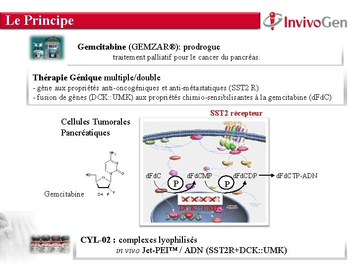 INNOVATION WITHIN Le Principe About Us • Innate Immunity • Cell Culture & Transfection