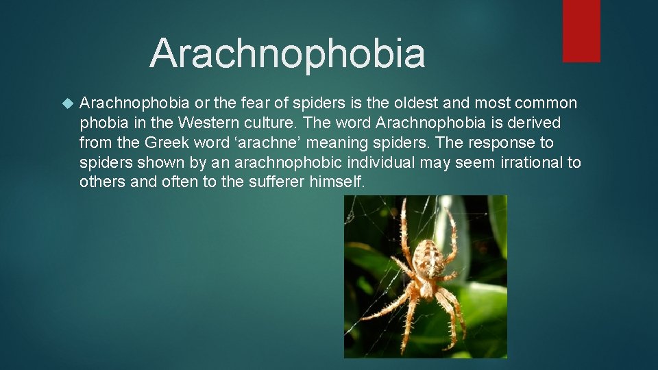 Arachnophobia or the fear of spiders is the oldest and most common phobia in